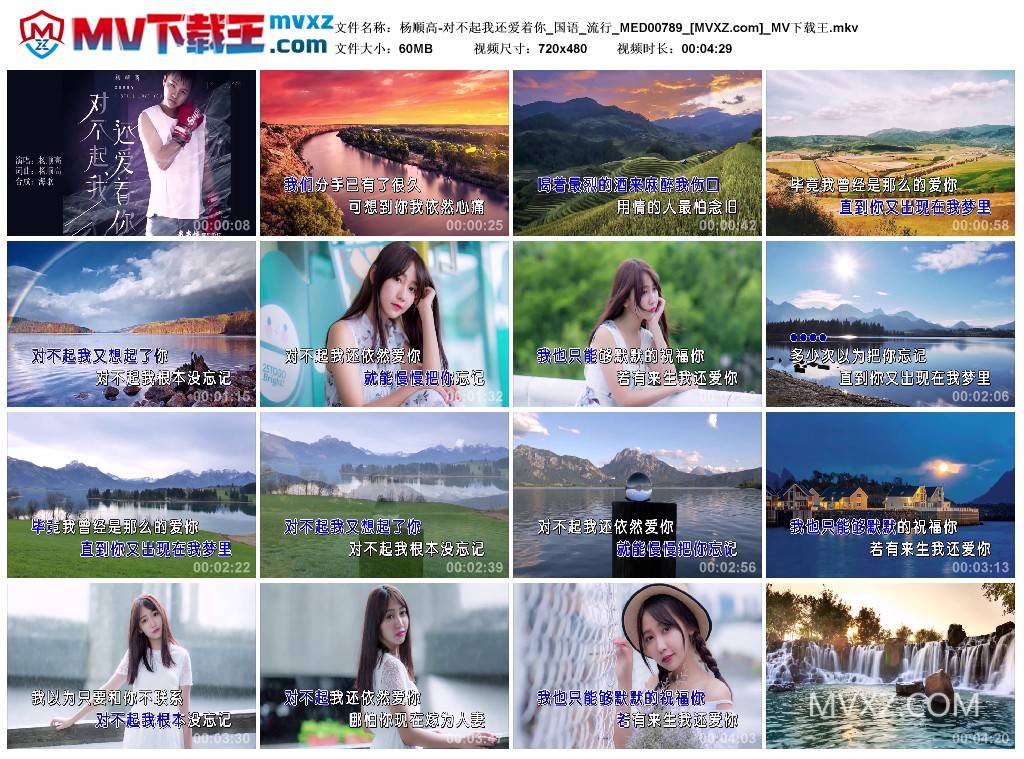 杨顺高-对不起我还爱着你_国语_流行_MED00789